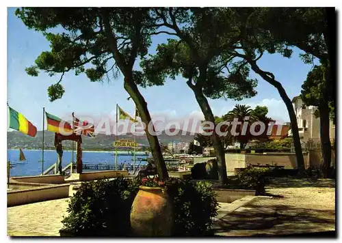 Cartes postales moderne Juan Les Pins La Pinede