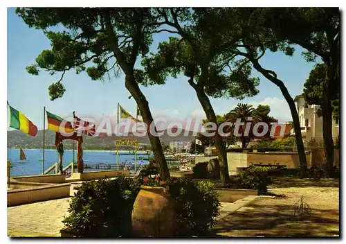 Cartes postales moderne Juan Les Pins La Pinede