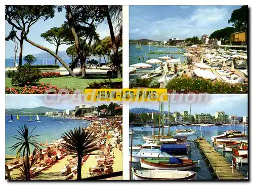 Cartes postales moderne Juan Les Pins La Pinede Et La Plage