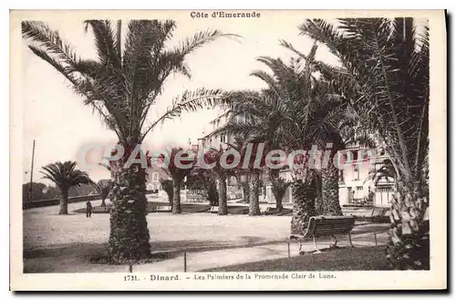 Cartes postales Dinard Les Palmiers De La Promenade Clair de lune