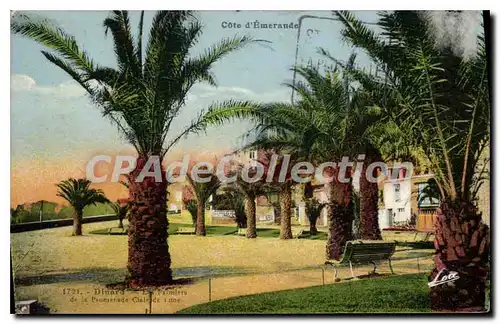 Cartes postales Dinard Les palmiers de la Promenade Claire de lune