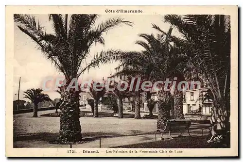 Cartes postales Dinard Les Palmiers De La Promenade Clair De Lune