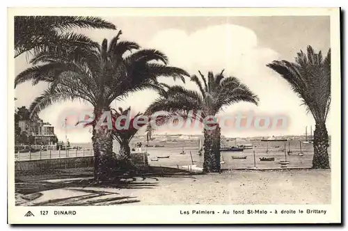 Ansichtskarte AK Dinard Les Palmiers Au Fond St Malo Brittany