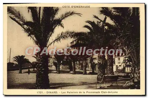 Cartes postales Dinard Les Palmiers De La Promenade Clair De Lune