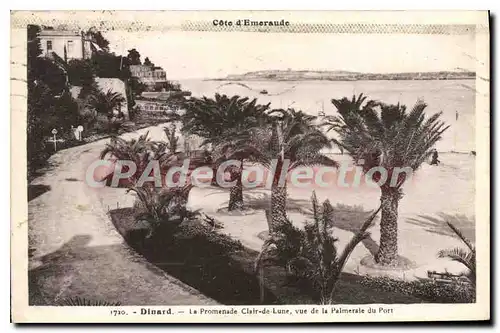 Cartes postales Dinard La Promenade Clair De Lune palmeraie du port