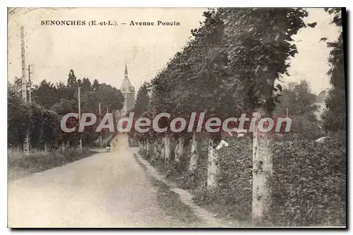 Cartes postales Senonches Avenue Poucin