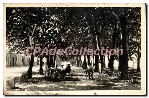 Cartes postales Ales Promenade Des Platanes