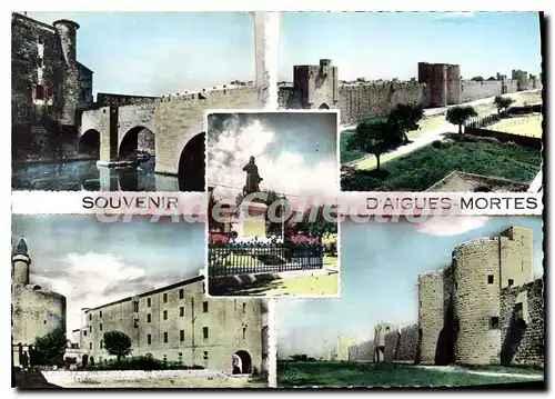 Cartes postales moderne Aigues Mortes Les Fosses De La Tour De Constance