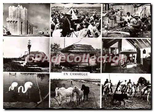 Cartes postales moderne  En Camargue Eglise Des Stes Marles Promenade De La Scones Gitanes