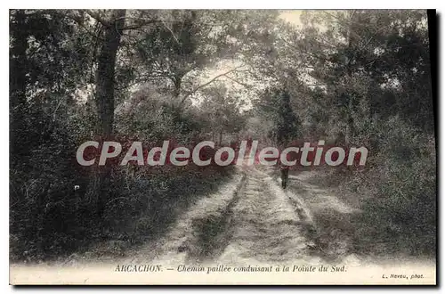 Ansichtskarte AK Arcachon Chemin Paillee Conduisant A La Pointe Du Sud