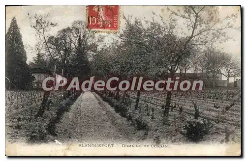 Cartes postales Blanouefort Domain De Curgan