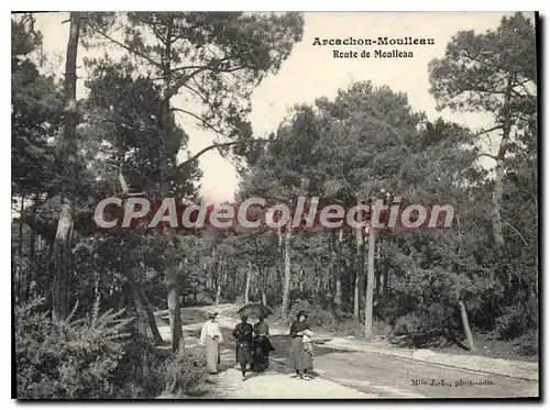 Cartes postales Arcachon Moulieau Route De Moulieau