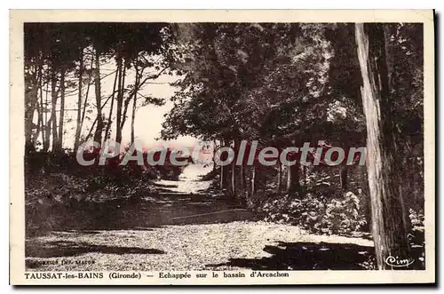 Cartes postales Taussat Les Bains Echappee Sur Le Bassin D'Arcachon