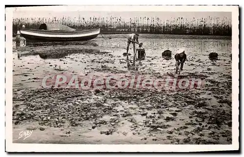 Cartes postales Arcachon Bassin Pans Les Huitres