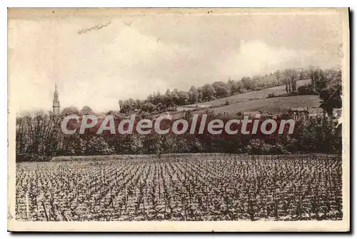 Cartes postales Verdelais Vue Generale Et Le Vignoble