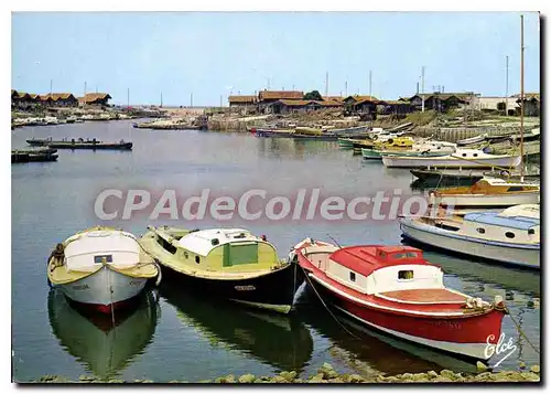 Cartes postales moderne Gujan Mestras Le Port