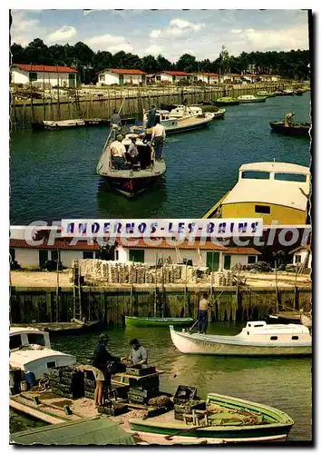 Cartes postales moderne Andernos Les Bains Retour Au Port Triage Des Huitres