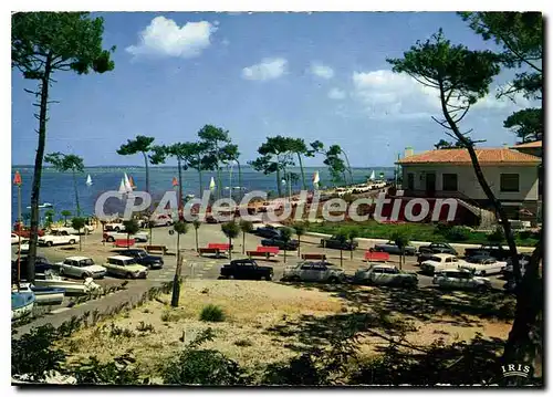 Cartes postales moderne Arcachon Parc Et Plage Pereire