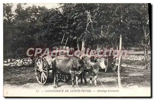 Cartes postales Sanatorium De Sainte Feyre Allelage Creusois