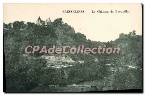 Cartes postales Fresselines Le Chateau De Puyguillon