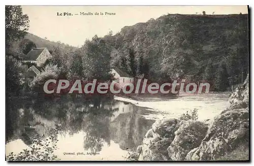 Cartes postales Le Pin Moulin De La Prune