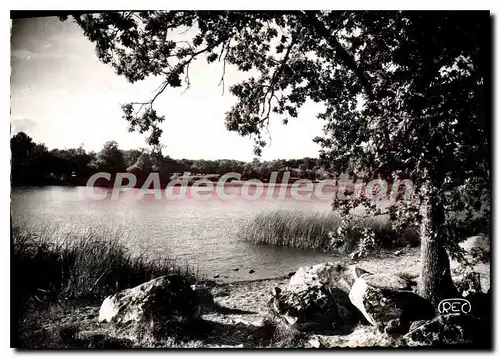 Cartes postales moderne Saint Vaury Creuse L'Etang