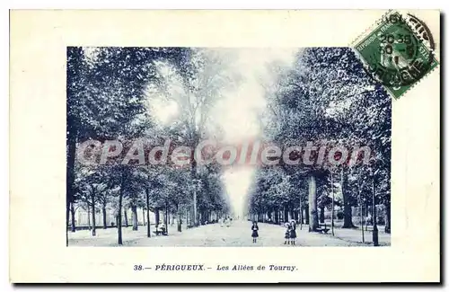 Cartes postales Perigueux Les Allees De Tourny