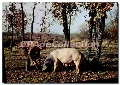 Moderne Karte Le Perigord Pittoresque Chercheur De Truifes