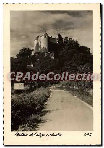 Cartes postales moderne Chateau De Salignac Feneline