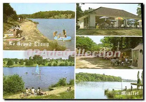 Cartes postales moderne Miallet Le Grand Etang