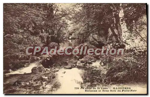 Cartes postales Ruisseau Et Sous Bois Du Puits Noir Maizieres