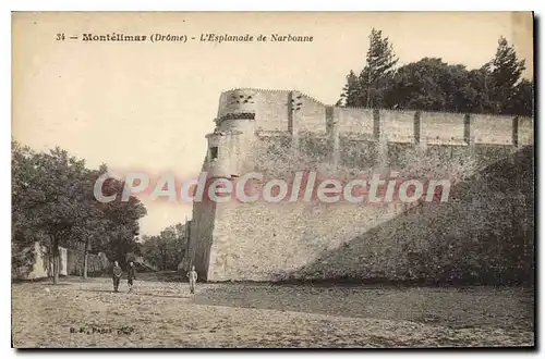 Cartes postales Montelimar L'Esplanade De Narbonne