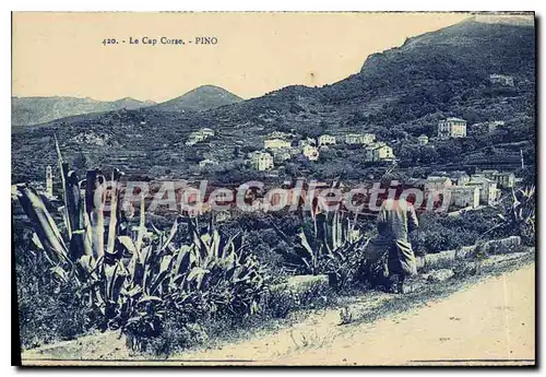 Cartes postales La Cap Corse Pino