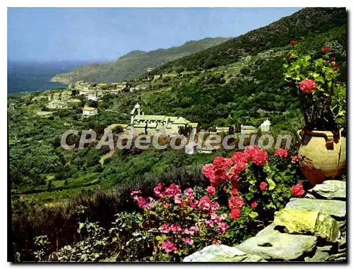 Cartes postales moderne La Corse Oasis De Beaute Morsiglia