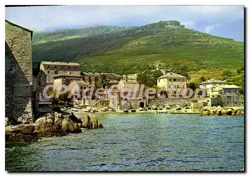 Cartes postales moderne Corse Ile De Beaute Erbalunga Le Port De Peche