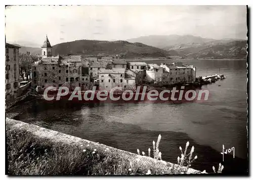 Cartes postales moderne Saint Florent Et Son Golfe