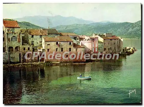 Cartes postales moderne La Corse Saint Florent Village Ban