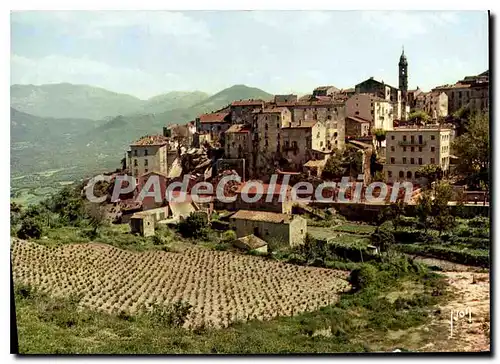 Cartes postales moderne La Corse Sartene Vue Generale