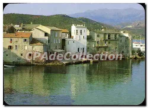 Cartes postales moderne La Corse Saint Florent Un Bassin A I'Abri Derriere Le Port