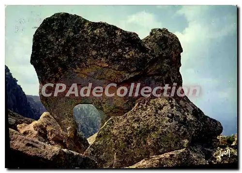 Cartes postales moderne La Corse Oasis De Beaute Les Calanche Curiosite Naturelle