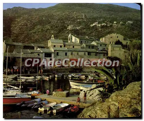 Cartes postales moderne La Corse Centuri Petit Port Borde Par Les Maisons De Pecyheurs