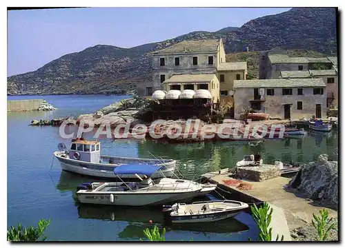 Cartes postales moderne La Corse Centuri