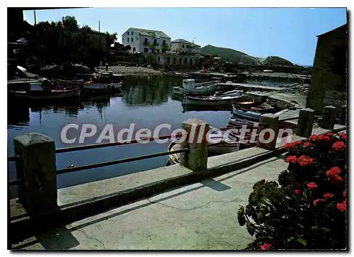 Cartes postales moderne La Corse Ile De Beaute Centuri Le Port