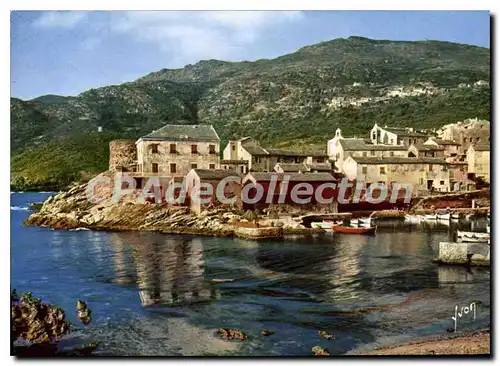Cartes postales moderne La Corse Oasis De Beaute Marine De Centuri