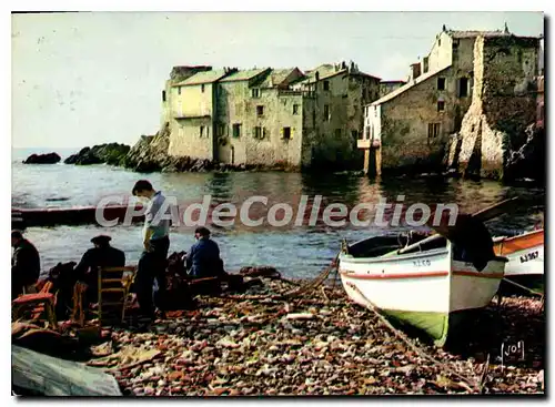 Cartes postales moderne La Corse Oasis De Beaute Erbalunga Cap Corse