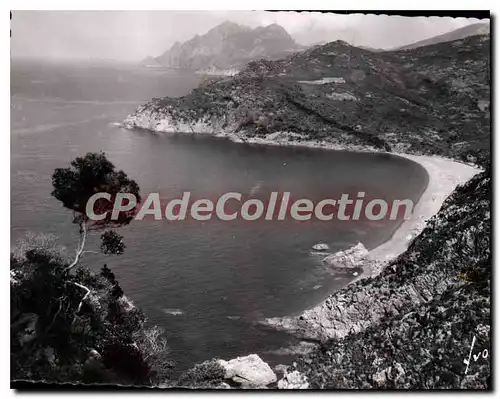 Cartes postales moderne La Corse Golfe De Porto Plage De Bussagna