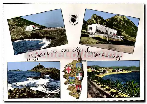 Cartes postales moderne La Corse D'Ajaccio Aux Sanguinaires