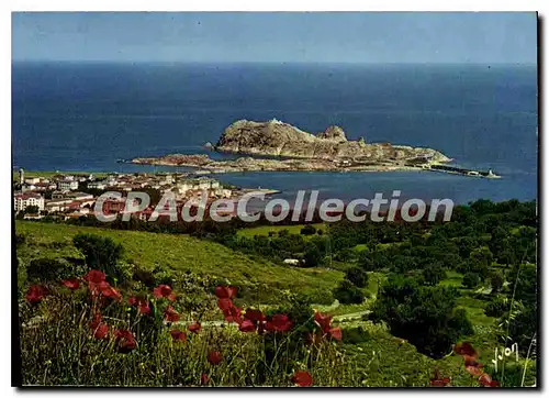 Cartes postales moderne La Corse Ile Rousse Vue Generale