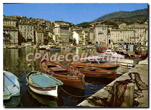 Cartes postales moderne Bastia Le Vieux Port Avec Ses Barques