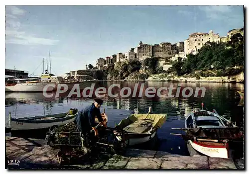Cartes postales moderne Bastia Le Vieux Port